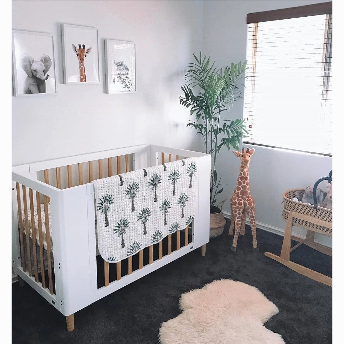 COCOON Evoke 4 in 1   Mattress Set