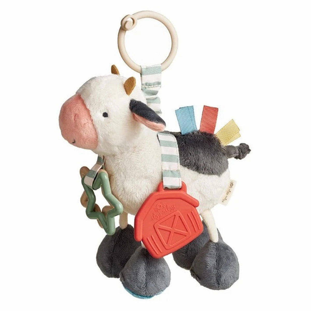 Link & Love Teething Activity Toy