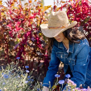 Petite Catalina Cowboy