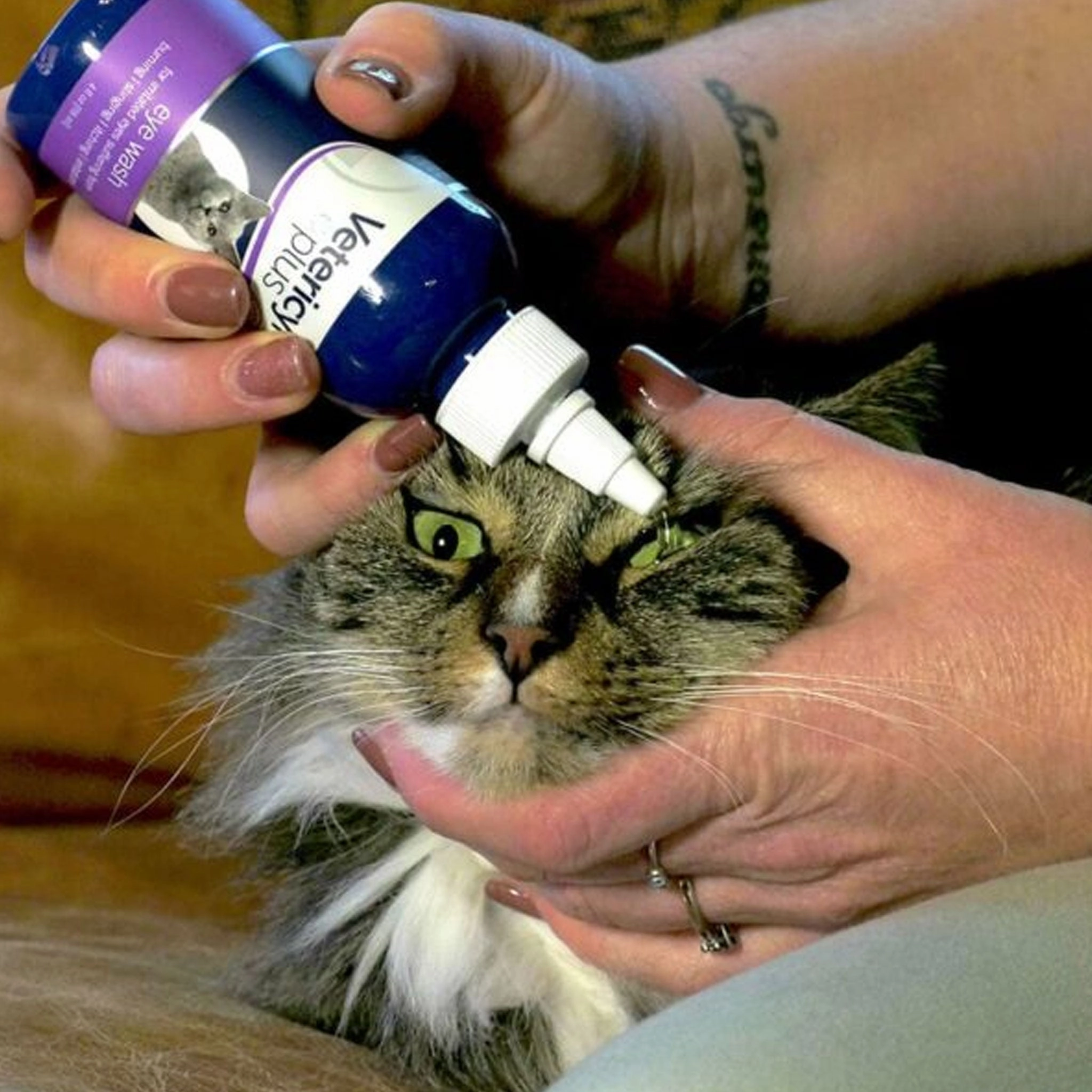 Vetericyn All Animal Eye Wash Remedy Dog Remedies